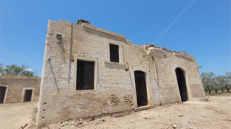 MASSERIA SECOLARE CON TERRENO OLIVETO