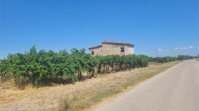 TERRENO VIGNETO DOPPIO FRONTE STRADA CON CASOLARE