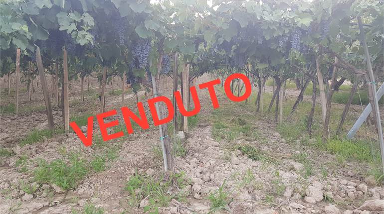 TERRENO DI HA 0,62 CON DIGA