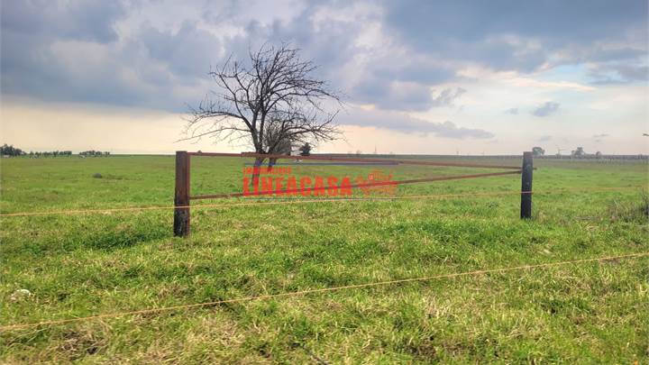 TERRENO DI HA 7 CIRCA SEMINATIVO CON POZZO