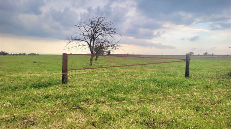 TERRENO DI HA 7 CIRCA SEMINATIVO CON POZZO